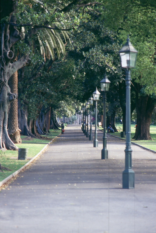 016_allee_im_park.jpg