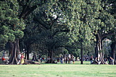 013_maechtiger_park.jpg