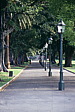 016_allee_im_park.jpg