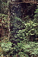 055_gruene_hoelle.jpg