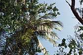 071_blick_in_den_himmel.jpg