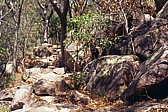116_wandern_zum_abgelegenen_strand.jpg