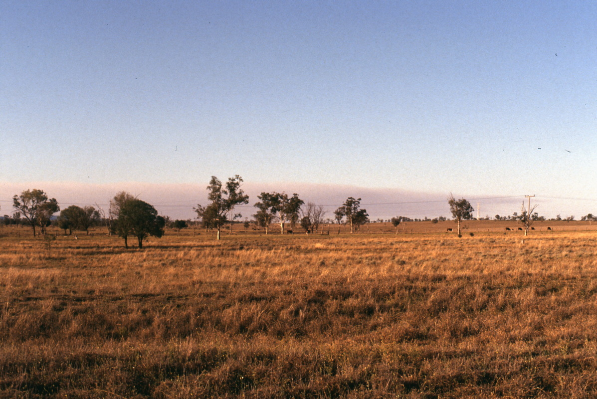 138_laendliche_abendstimmun.jpg