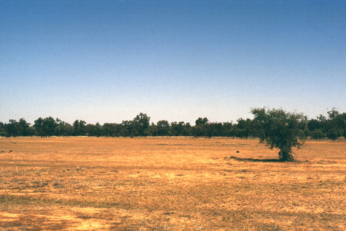147_diesel_and_dust.jpg