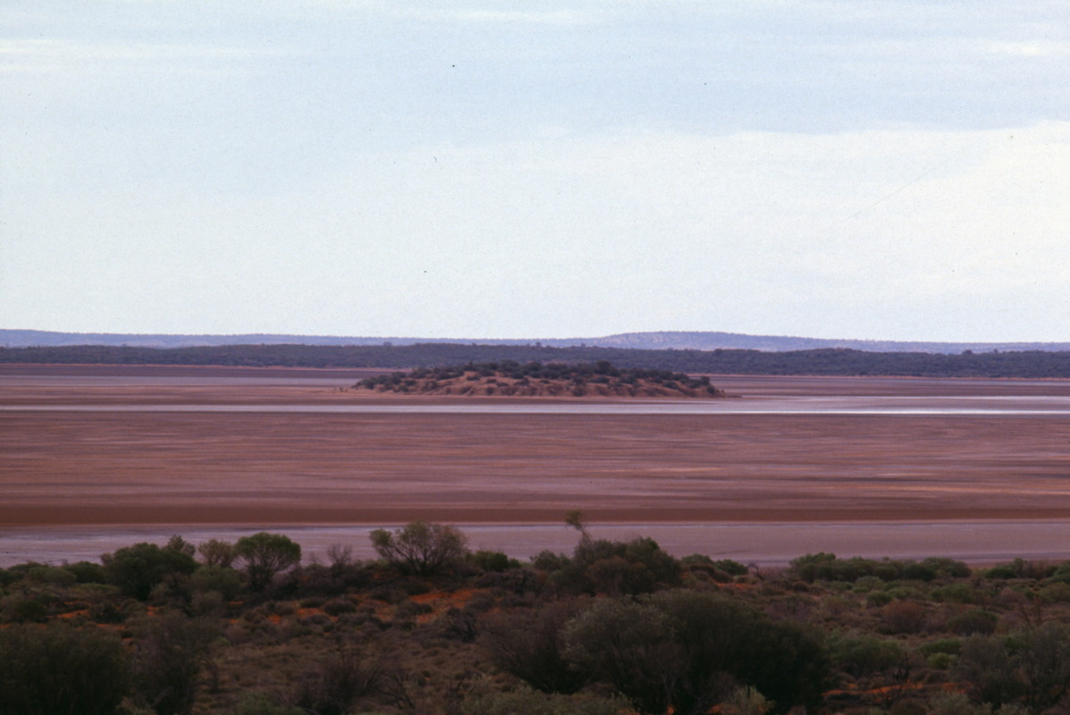 152_zentrales_schwemmland.jpg