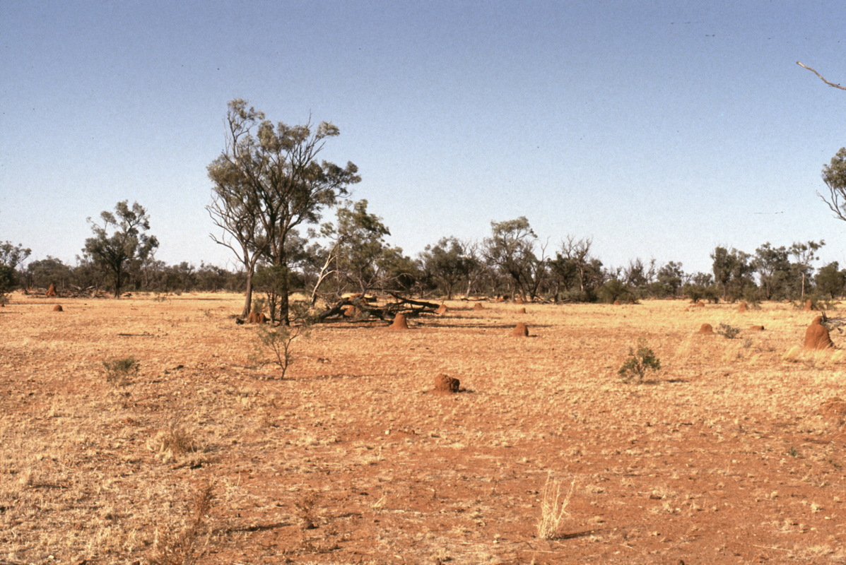 160_in_der_steppe.jpg