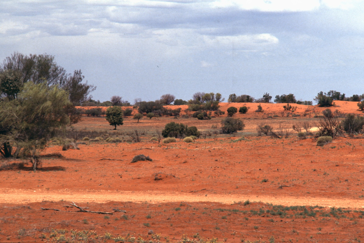 166_rotes_land.jpg