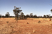 160_in_der_steppe.jpg