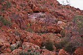 169_rote_felslandschaft.jpg