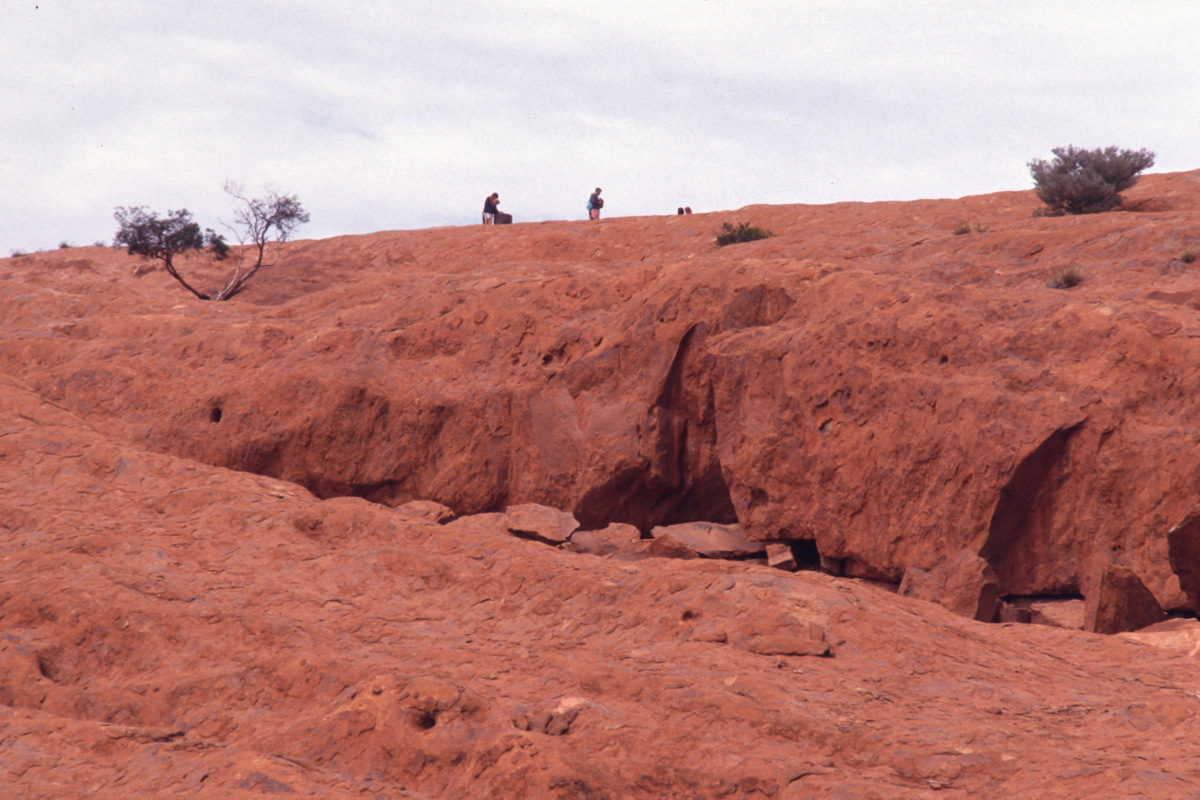 209_oben_auf_dem_rock.jpg