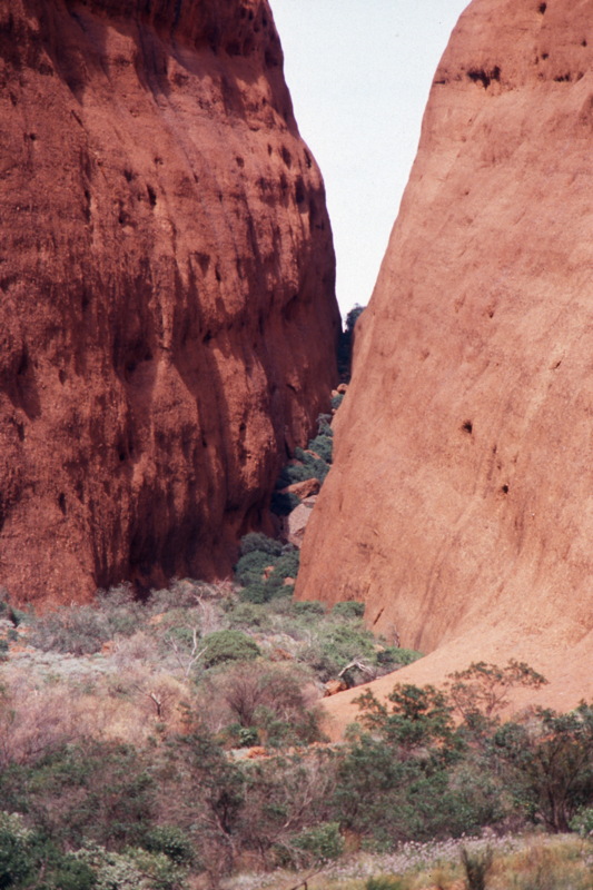 243_nochmal_schlucht.jpg