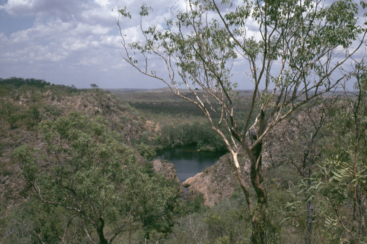 292_irgendwo_ein_wasserloch.jpg
