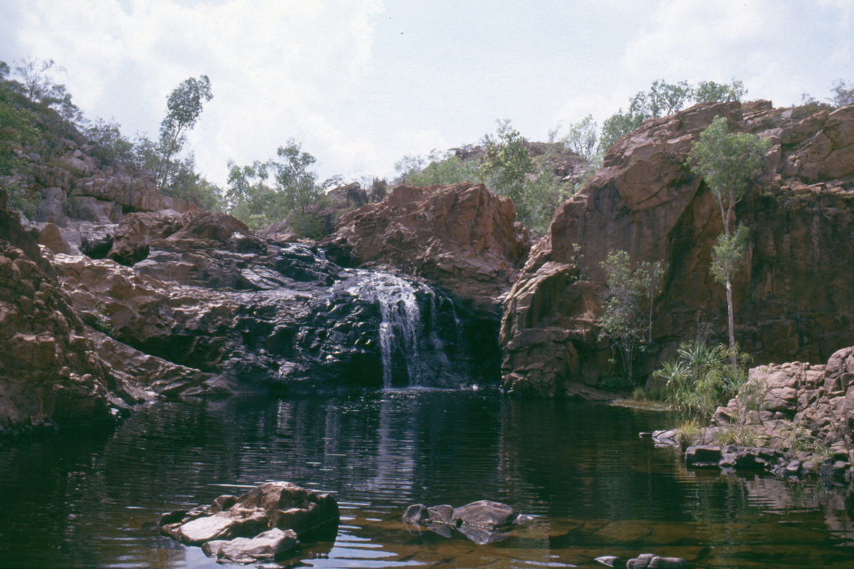 293_am_wasserloch.jpg