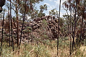 280_palmengarten.jpg