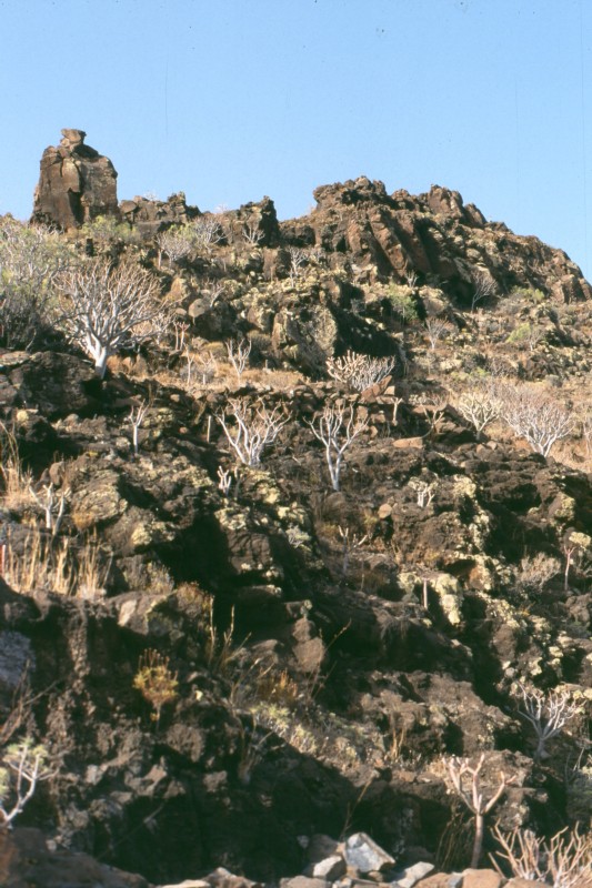 004_felsen.jpg