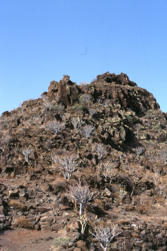 005_mehr_felsen.jpg