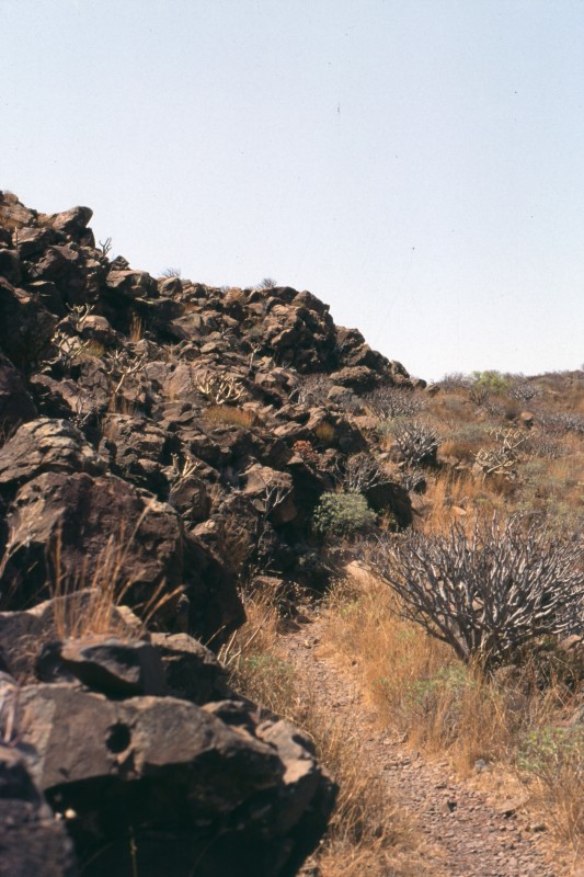 012_felsenlandschaft.jpg