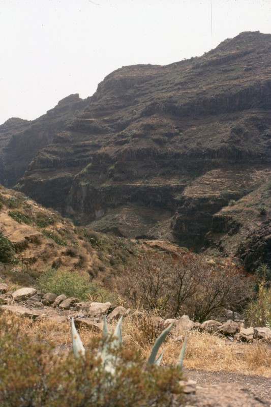 016_tief_im_canyon.jpg