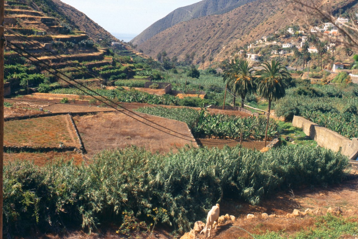 056_terrassenlandschaft.jpg