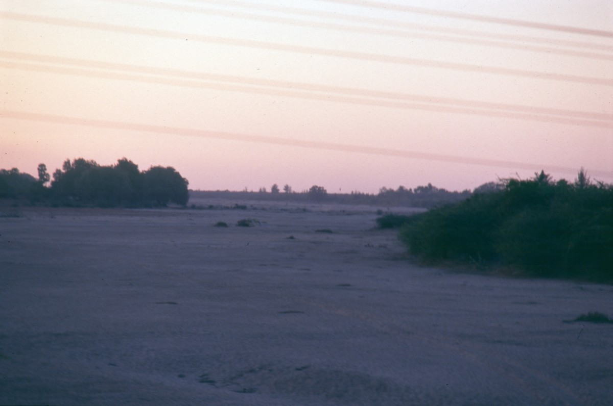 026_morgen_ueber_dem_land.jpg