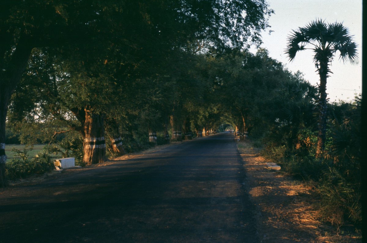 045_abendstimmung.jpg