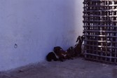 021_fehl_am_platze.jpg