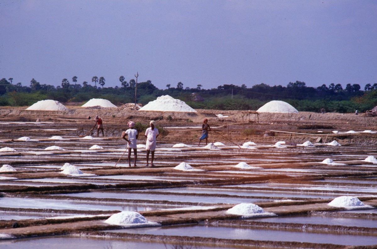 088_saline_bei_kodikkarai.jpg