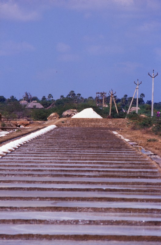 094_mehr_saline.jpg