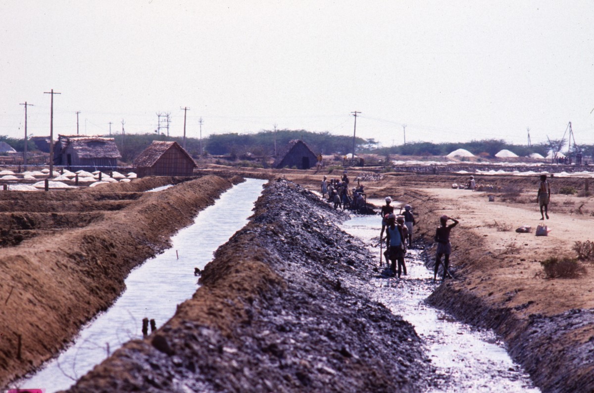 095_noch_mehr_saline.jpg
