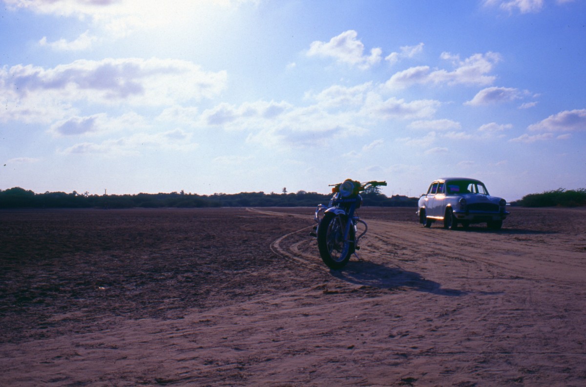 098_wild_wild_east.jpg