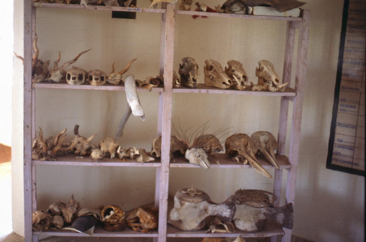 124_skurrile_sammlung.jpg