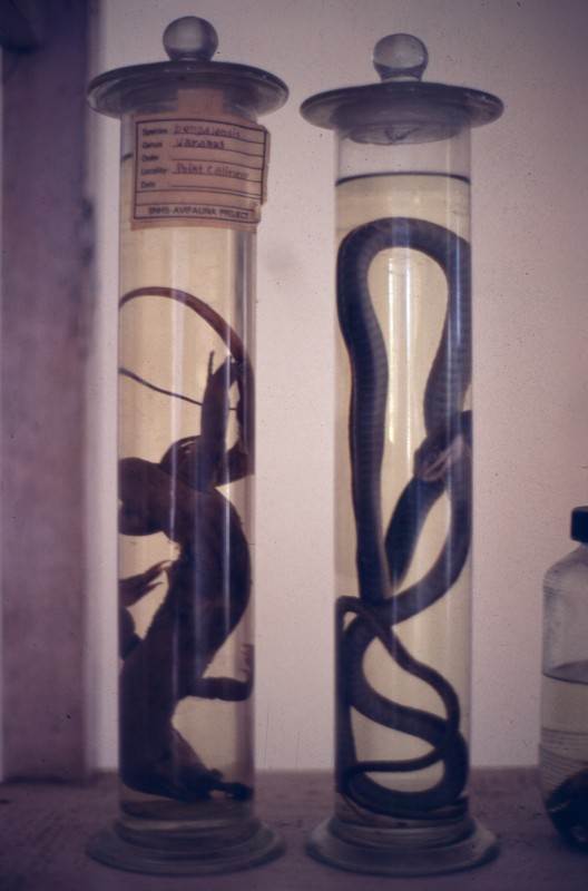 126_grusiges_gedoens.jpg