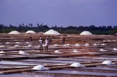 088_saline_bei_kodikkarai.jpg