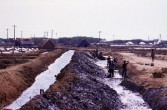 095_noch_mehr_saline.jpg
