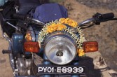 097_blumen_bringen_glueck.jpg