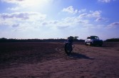 098_wild_wild_east.jpg