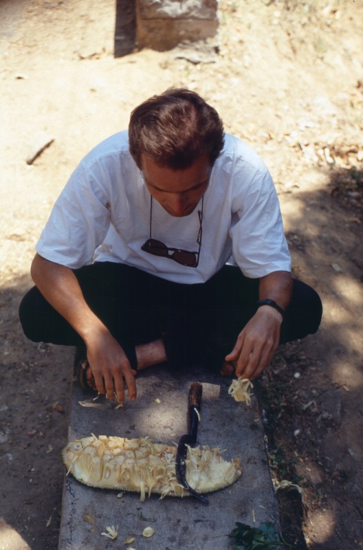 184_jackfruit_naschen.jpg