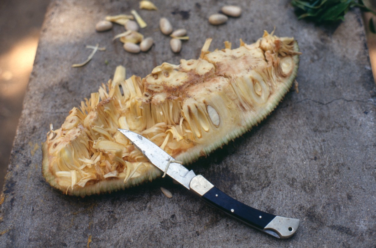 185_fiese_frucht.jpg