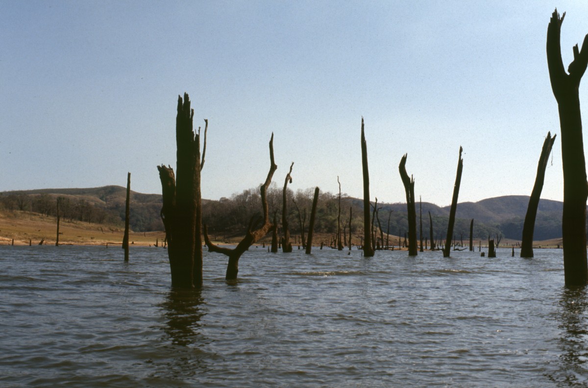 192_auf_dem_lake_periyar.jpg