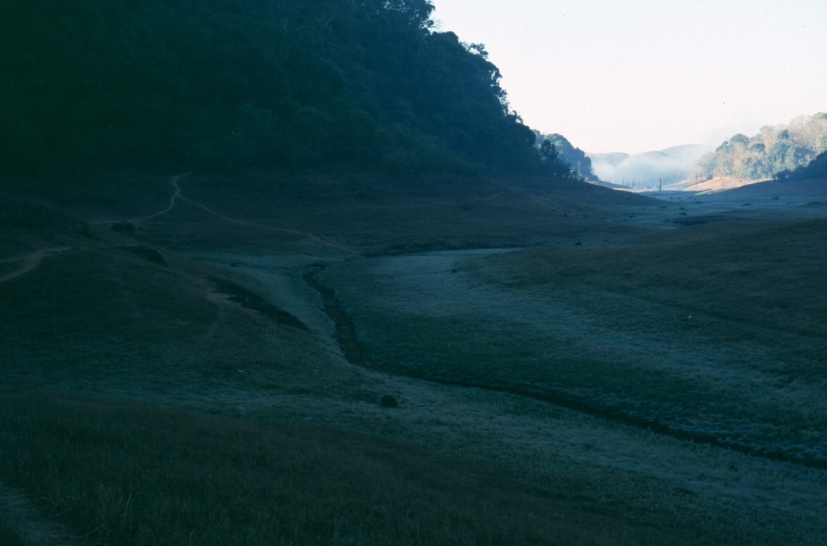 213_mehr_morgennebel.jpg
