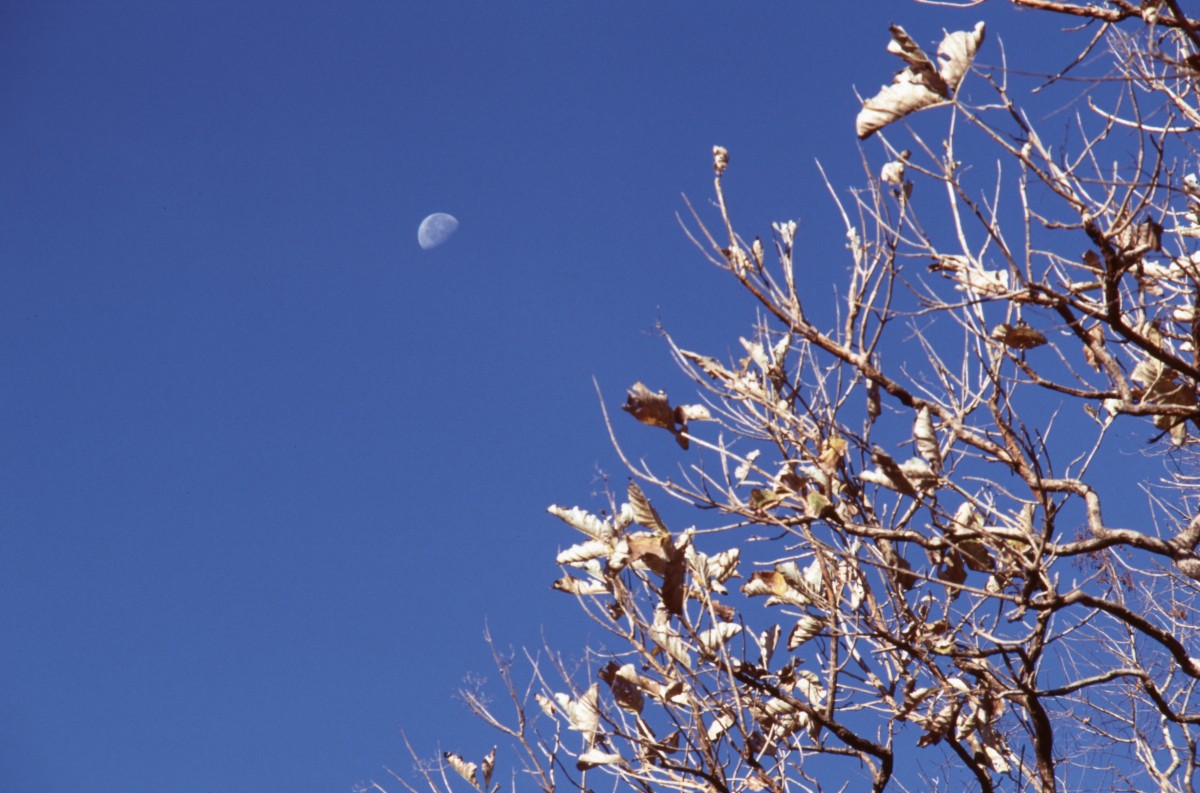 214_mond_und_himmel.jpg