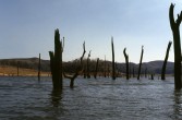 192_auf_dem_lake_periyar.jpg