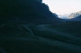 213_mehr_morgennebel.jpg