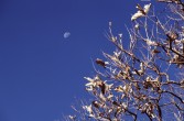 214_mond_und_himmel.jpg