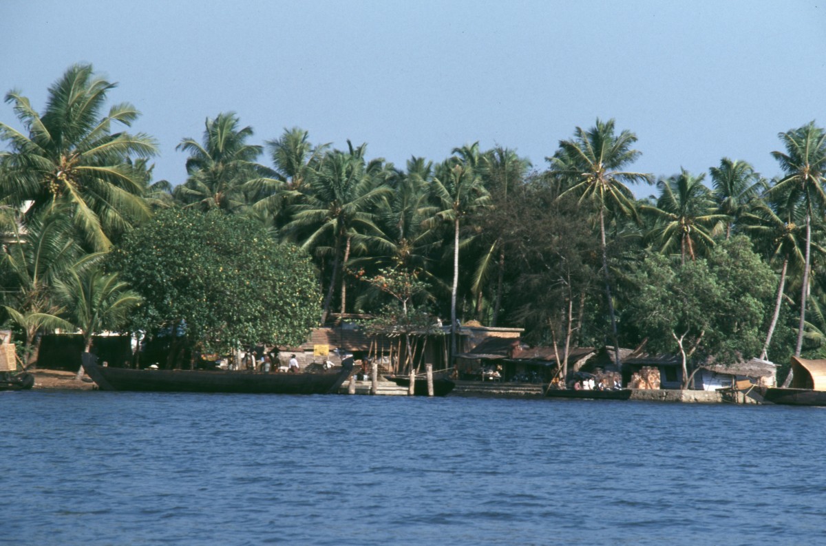 230_siedlung_am_ufer.jpg