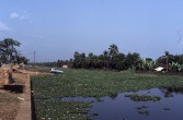 224_backwaters_bei_kottayam.jpg