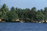 230_siedlung_am_ufer.jpg