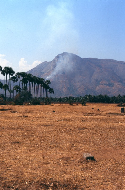 256_blick_in_die_ghats.jpg