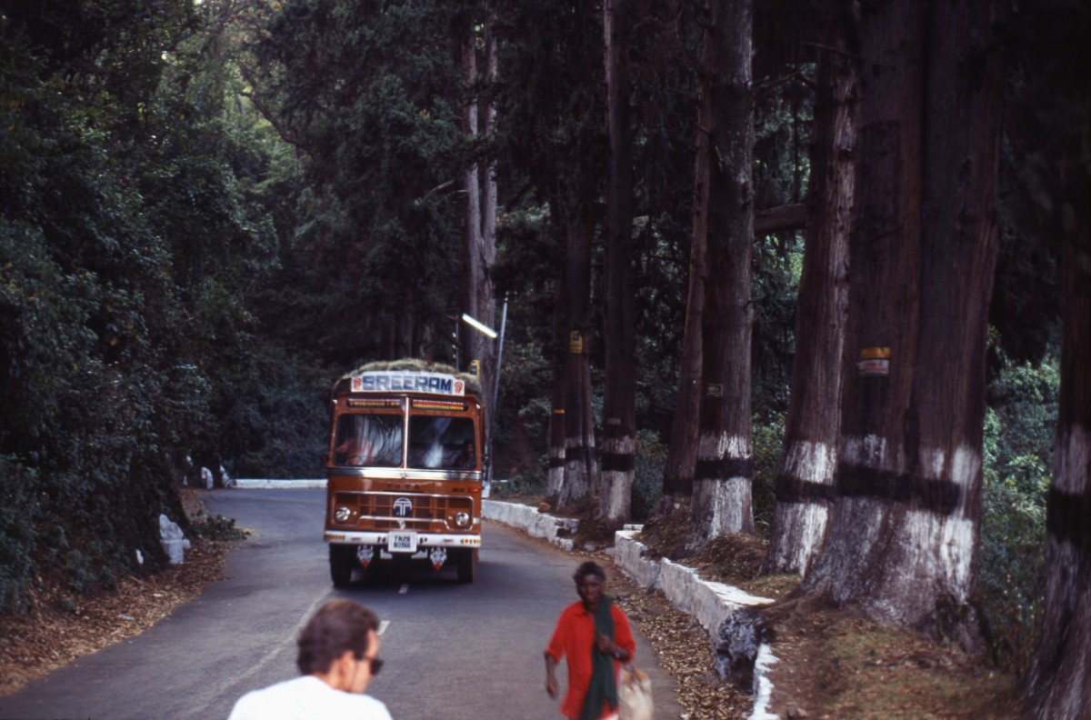 272_anfahrt_nach_coonoor.jpg