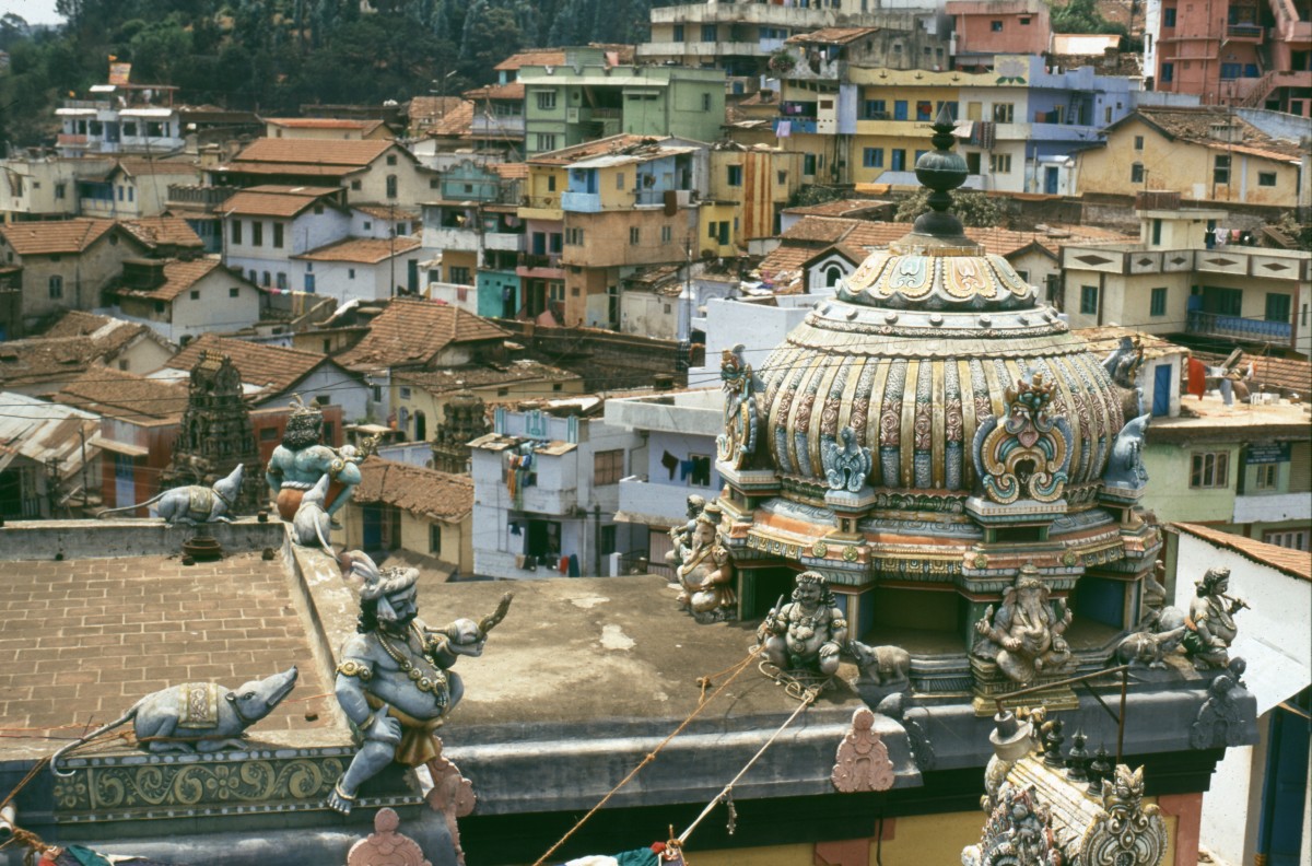 317_tempel_mittendrin.jpg